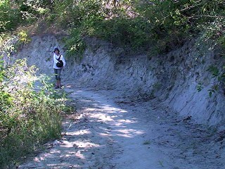 track1-320x240.jpg