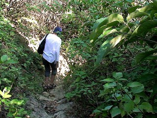 track3-320x240.jpg