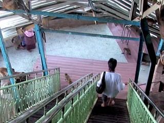02-staircase-down-2-320x240.jpg
