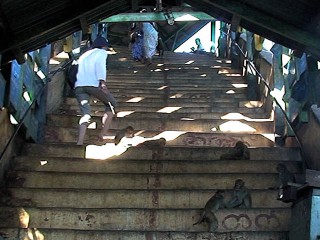 02-staircase-mon-11-320x240.jpg