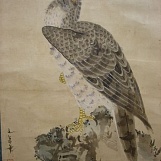 Свиток с ястребом, конец эпохи Эдо – Мейджи, 19-й век.SOLD!