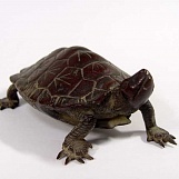 Красивая бронзовая черепаха Окимоно, Мейджи, 19-й век.