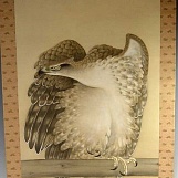 Восхитительная картина, изображающая орла, Мейджи, 19-й век.